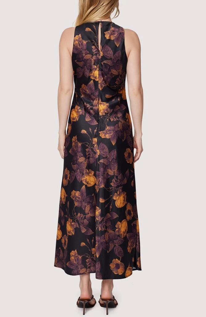 Lost and Wander Jardin De Siene Floral Sleeveless Maxi Dress 2