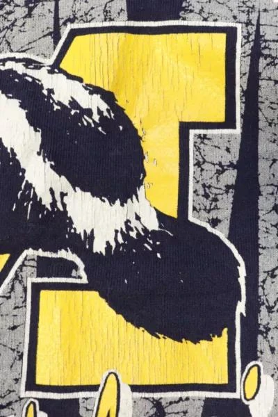Delta Vintage University of Michigan Wolverines Sweatshirt 001 3