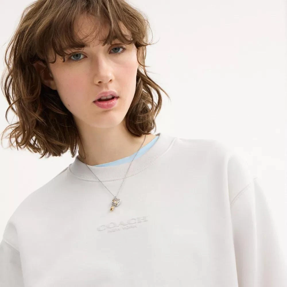 Coach Crewneck 4