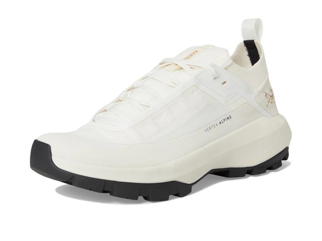 Arc'teryx Vertex Alpine GTX 7