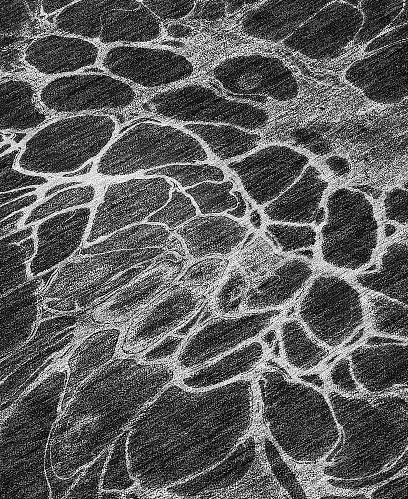 Addison Chantille Machine Washable ACN652 5
x7
6" Area Rug 4