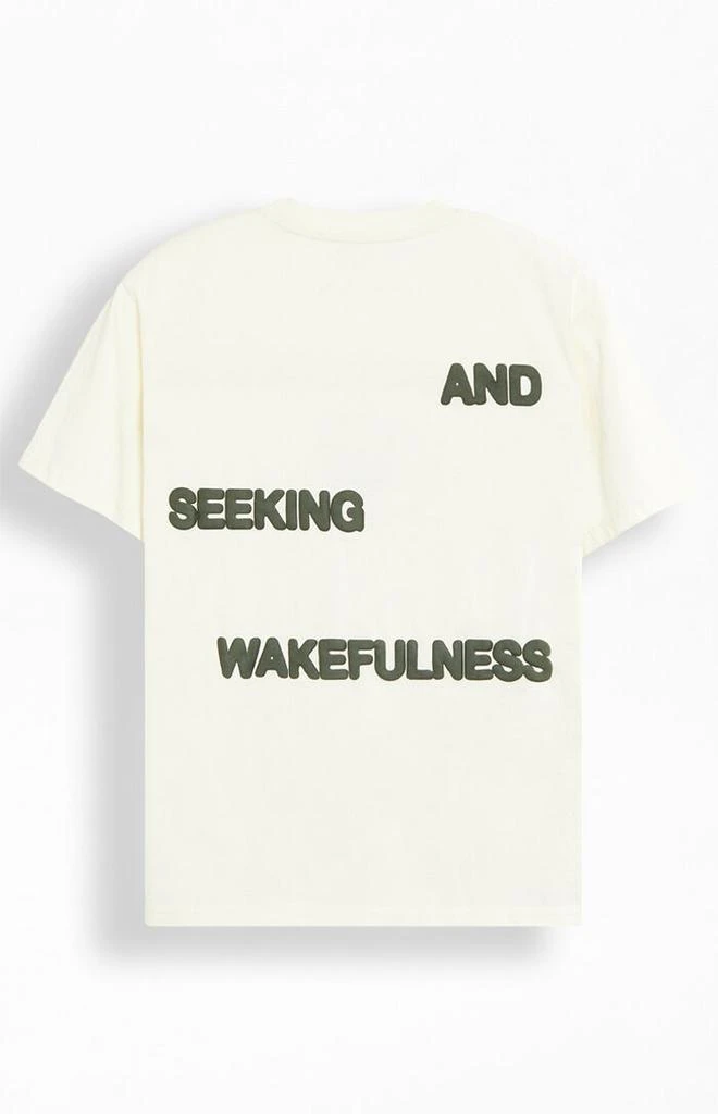 PacSun Lost In Dreams Puff Oversized T-Shirt 6
