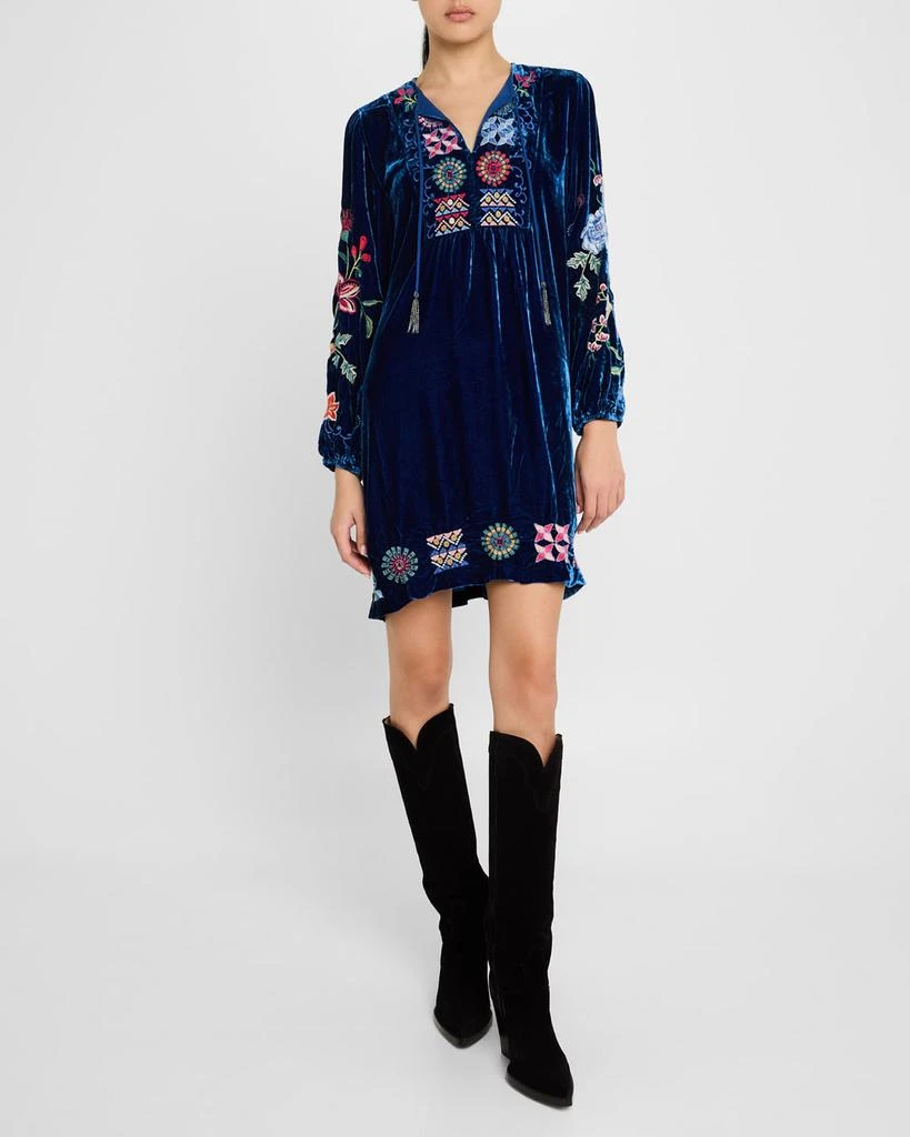 Johnny Was Nikkola Embroidered Velvet Mini Shift Dress 2