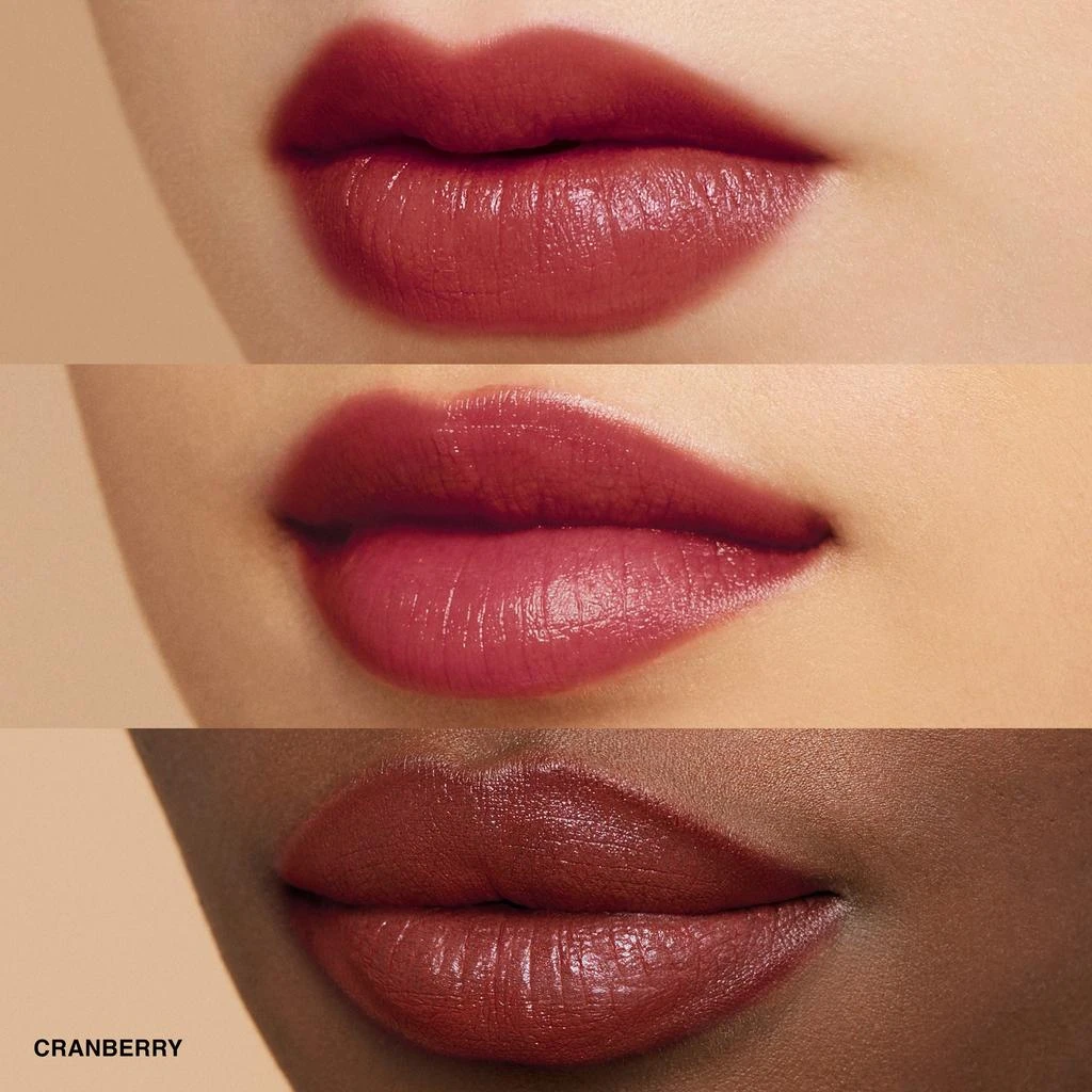 Bobbi Brown Crushed Lip Color 18
