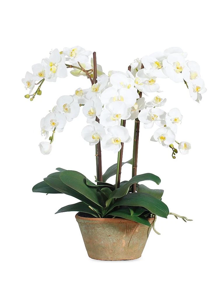 Winward Home Faux Phalaenopsis Potted Planter