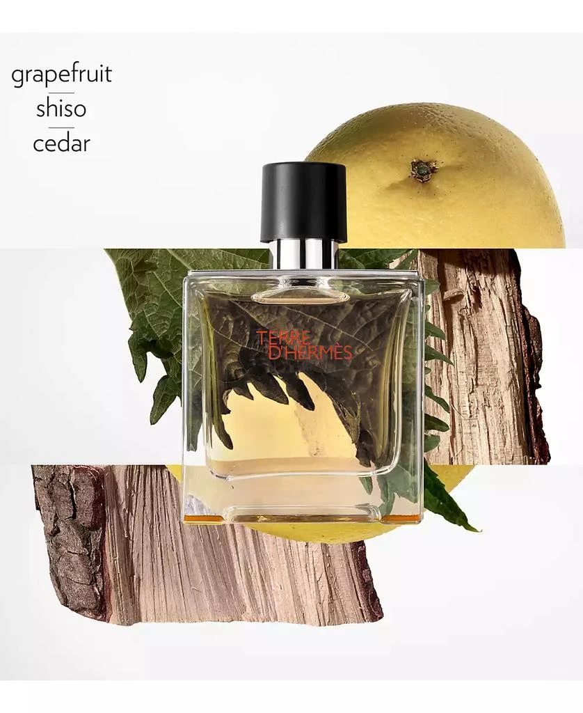 Hermes Terre d'Hermès Pure Perfume Spray, 2.5 oz. 2