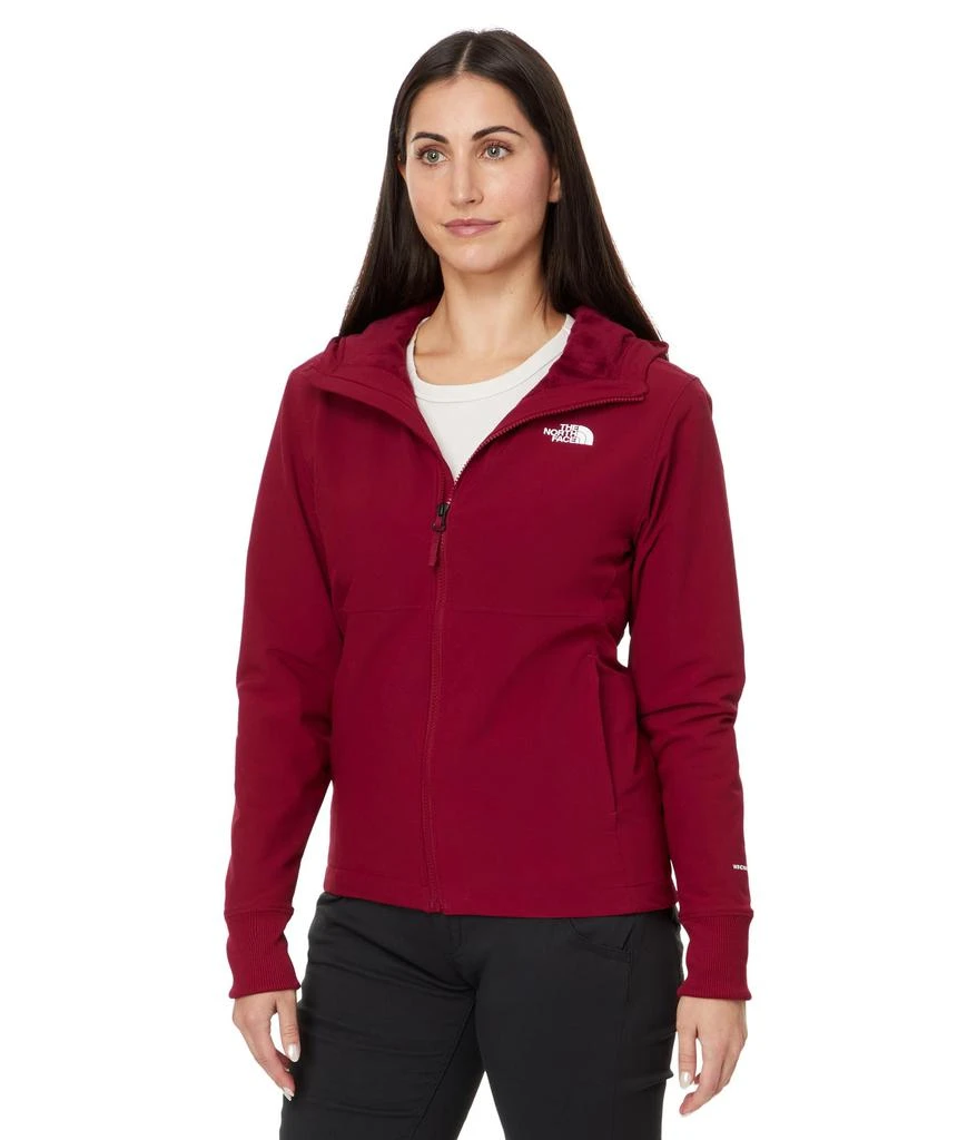 The North Face Shelbe Raschel Hoodie 1