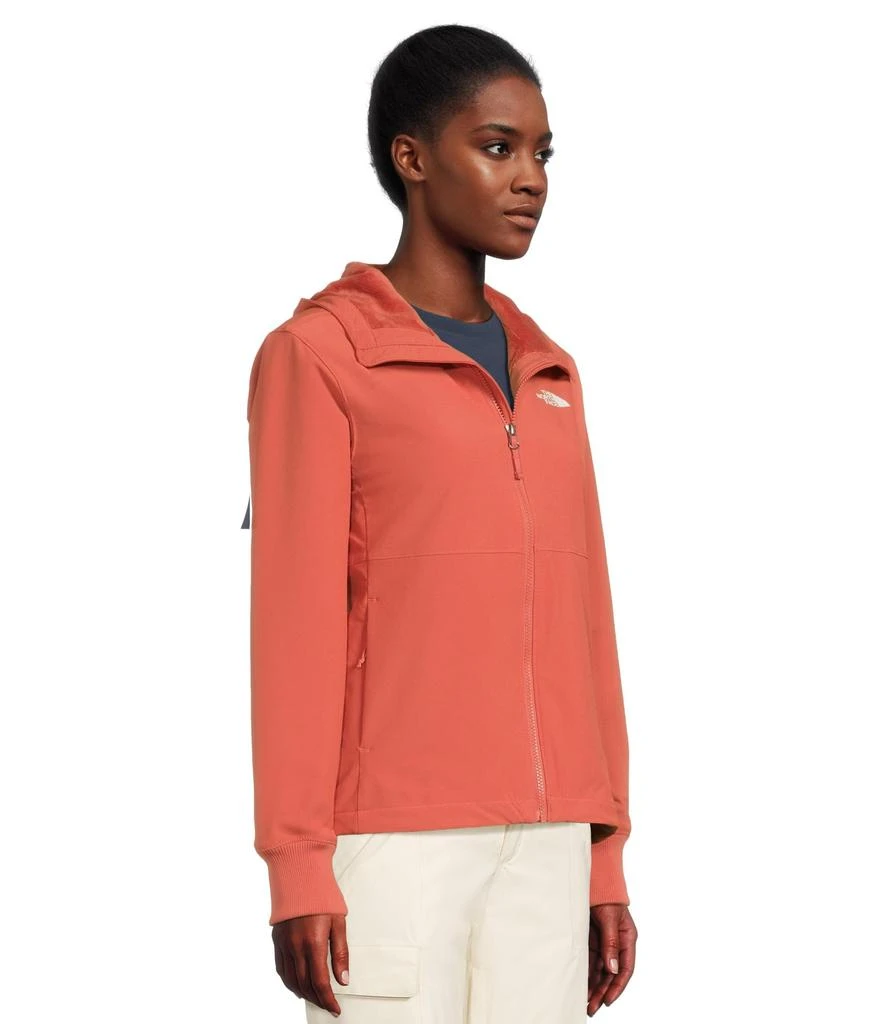 The North Face Shelbe Raschel Hoodie 2