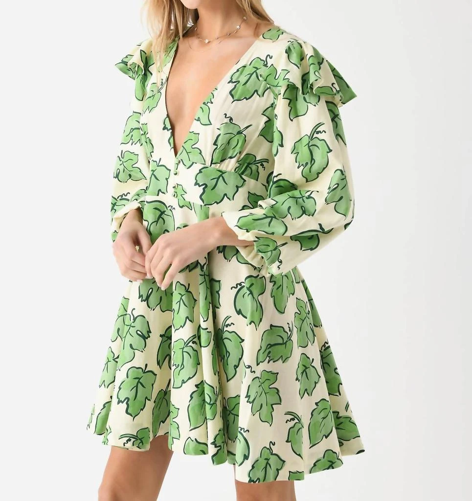 Kitri Cordelia Mini Dress In Green Vine Leaf Print 2