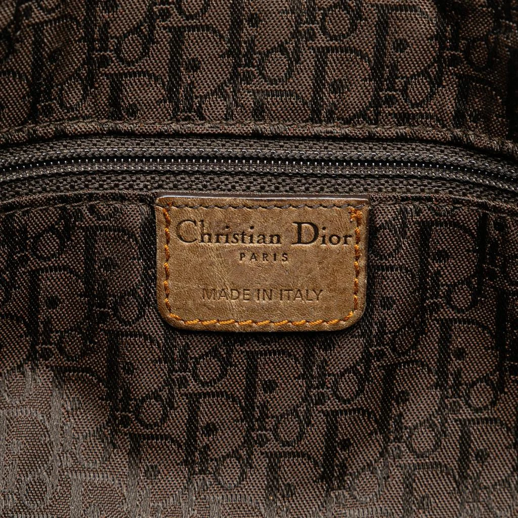 Dior Dior Gaucho Double Saddle Bag 10
