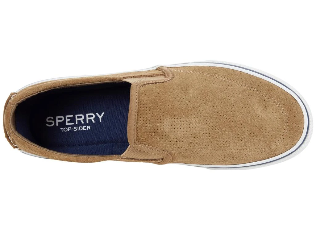 Sperry Striper II Twin Gore Perf Suede 2