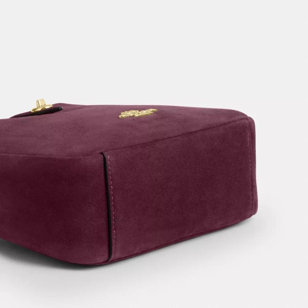 Coach Hadley Mini Crossbody Bag 7