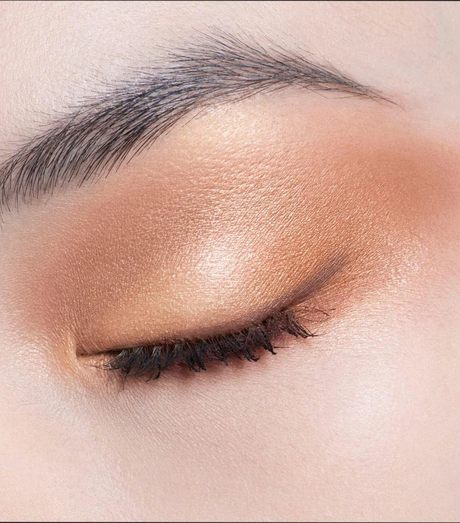 Dior Diorshow 5 Couleurs Eyeshadow Palette 2