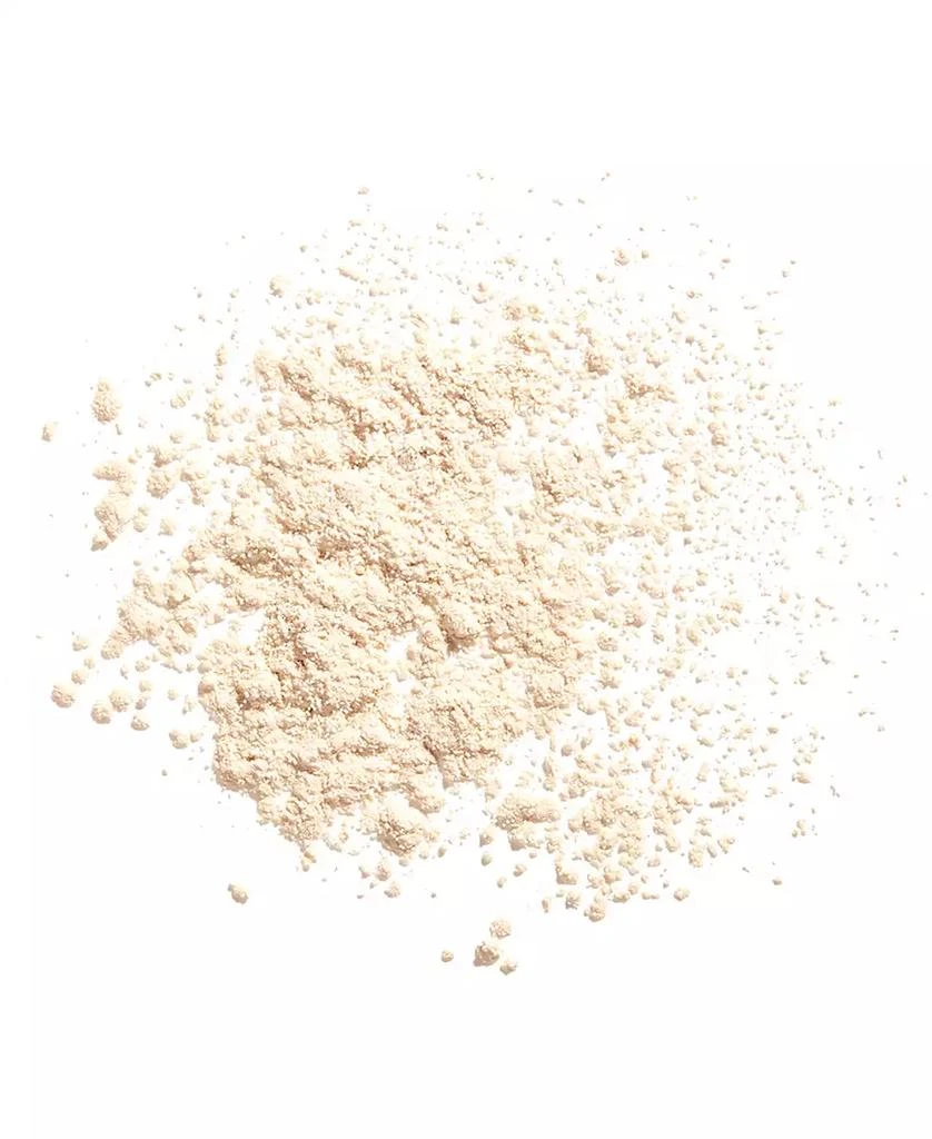 Shiseido Synchro Skin Invisible Silk Loose Powder 6