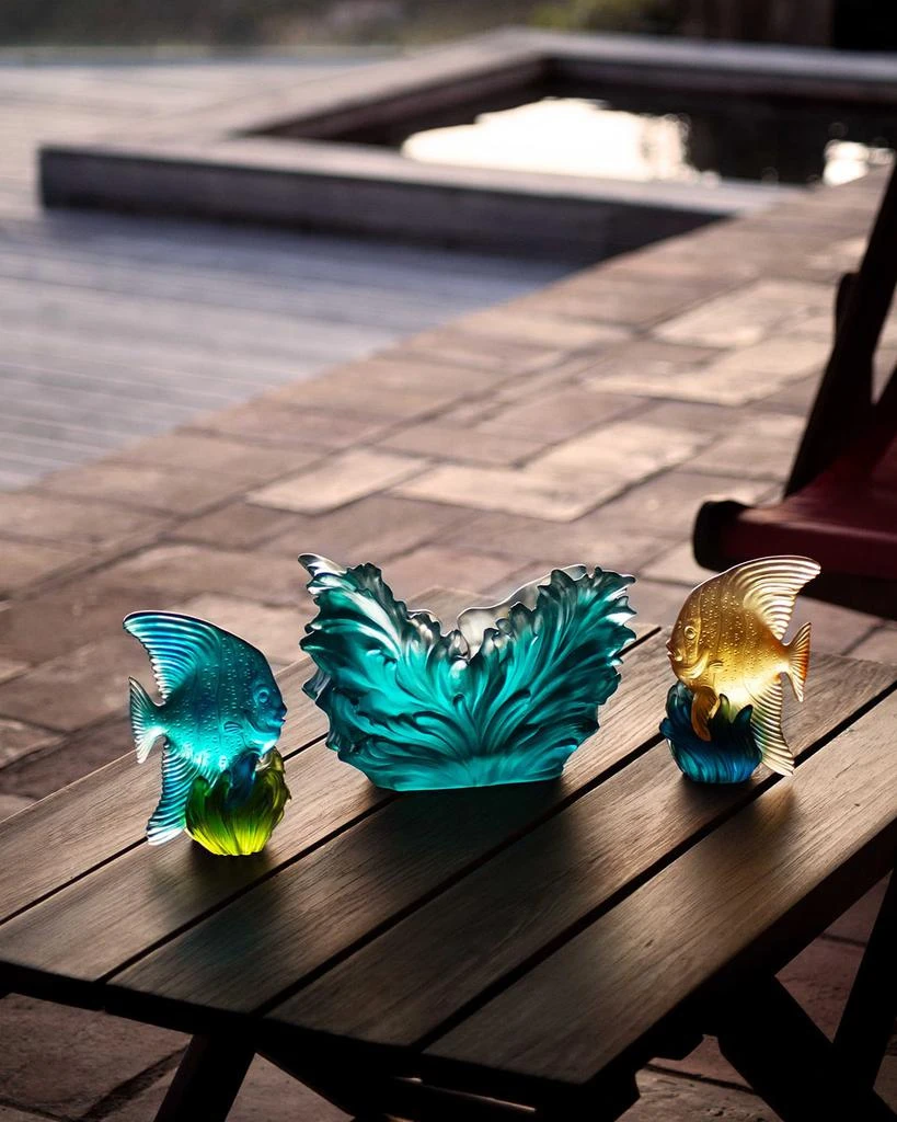 Daum Maya Blue and Green Medium Platax Fish 6