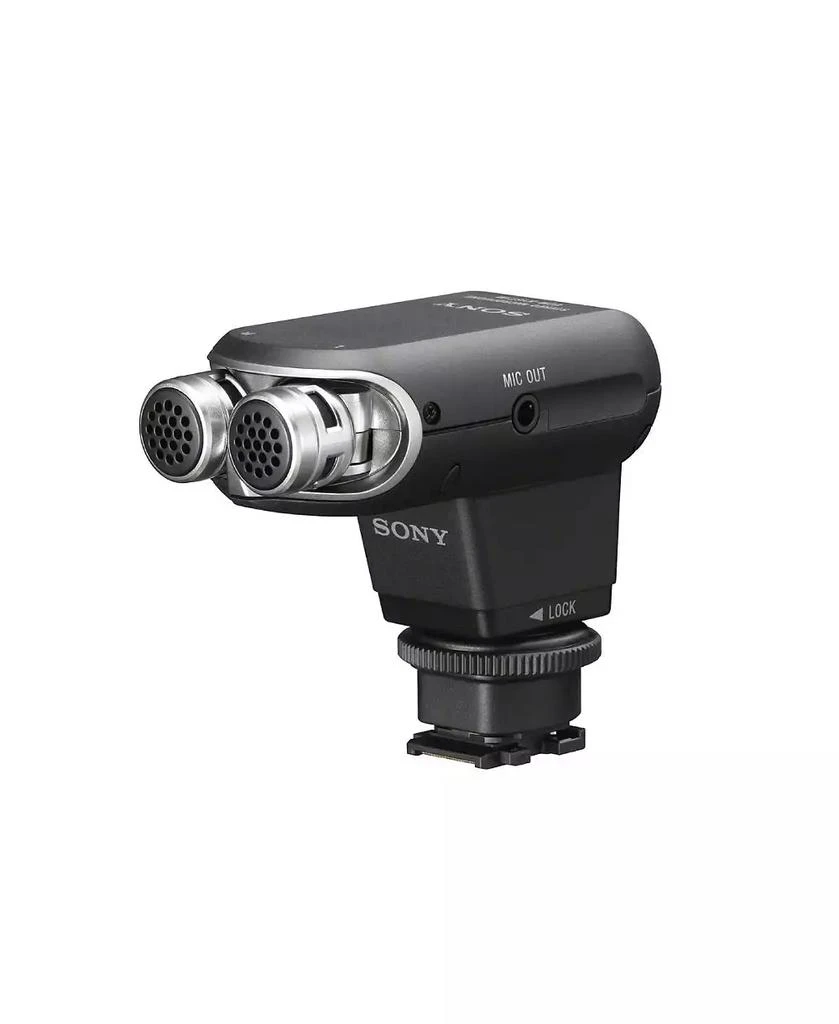 SONY Stereo Microphone 1