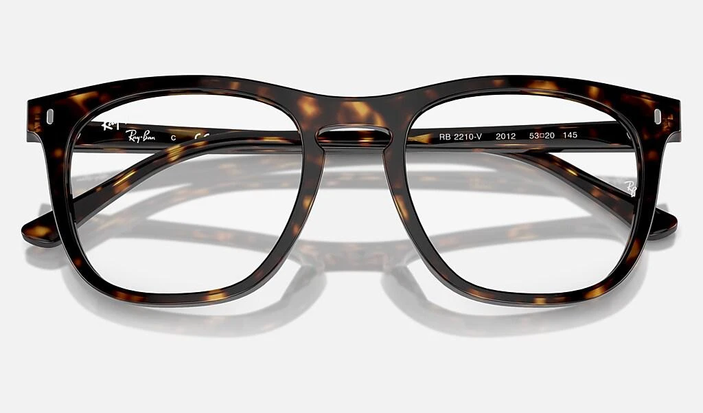 Ray-Ban RB2210V OPTICS 5
