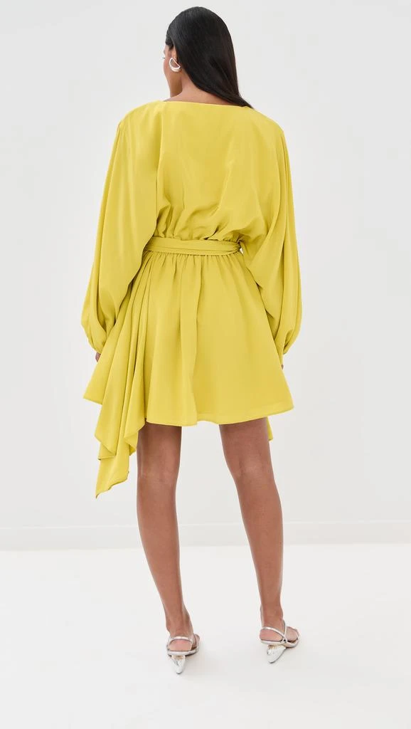 Azeeza Naila Mini Dress 2