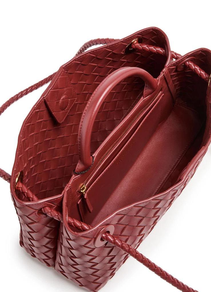 Bottega Veneta Small Andiamo East-West bag 5