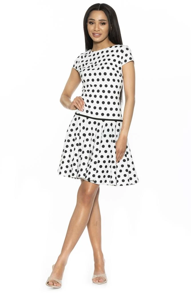ALEXIA ADMOR Drop Waist Dress 6