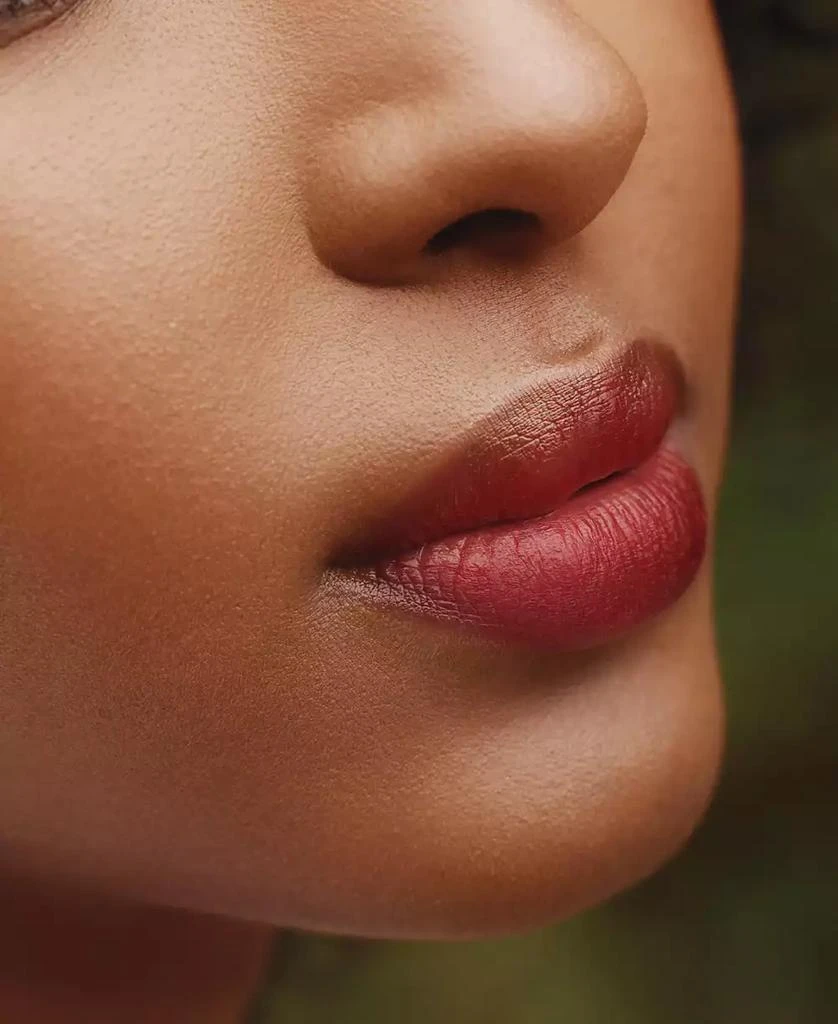 Stila Calligraphy Lip Stain 11
