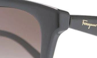 Salvatore Ferragamo 54mm Cat Eye Sunglasses 7