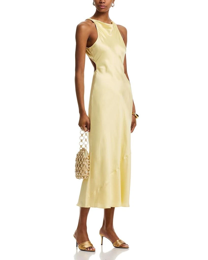 Danielle Guizio Lina Midi Dress 2