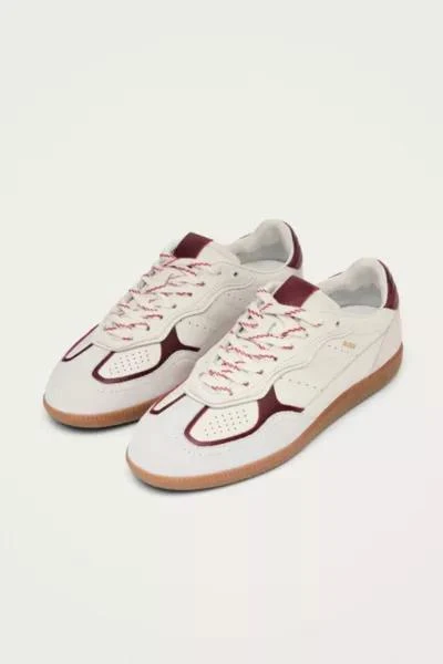 ALOHAS ALOHAS tb. 490 Leather Sneakers 3