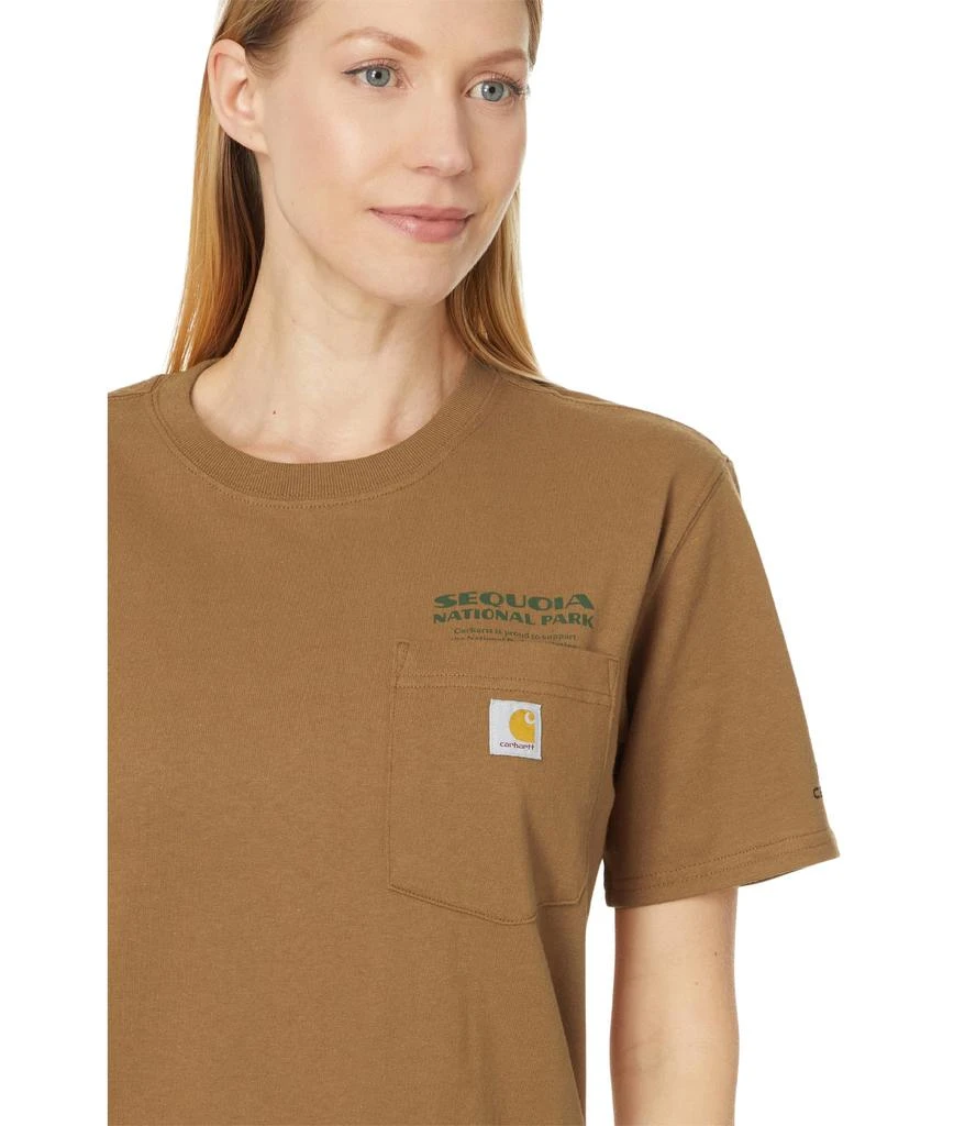 Carhartt Loose Fit Heavyweight Short Sleeve Sequoia National Park Graphic T-Shirt 3