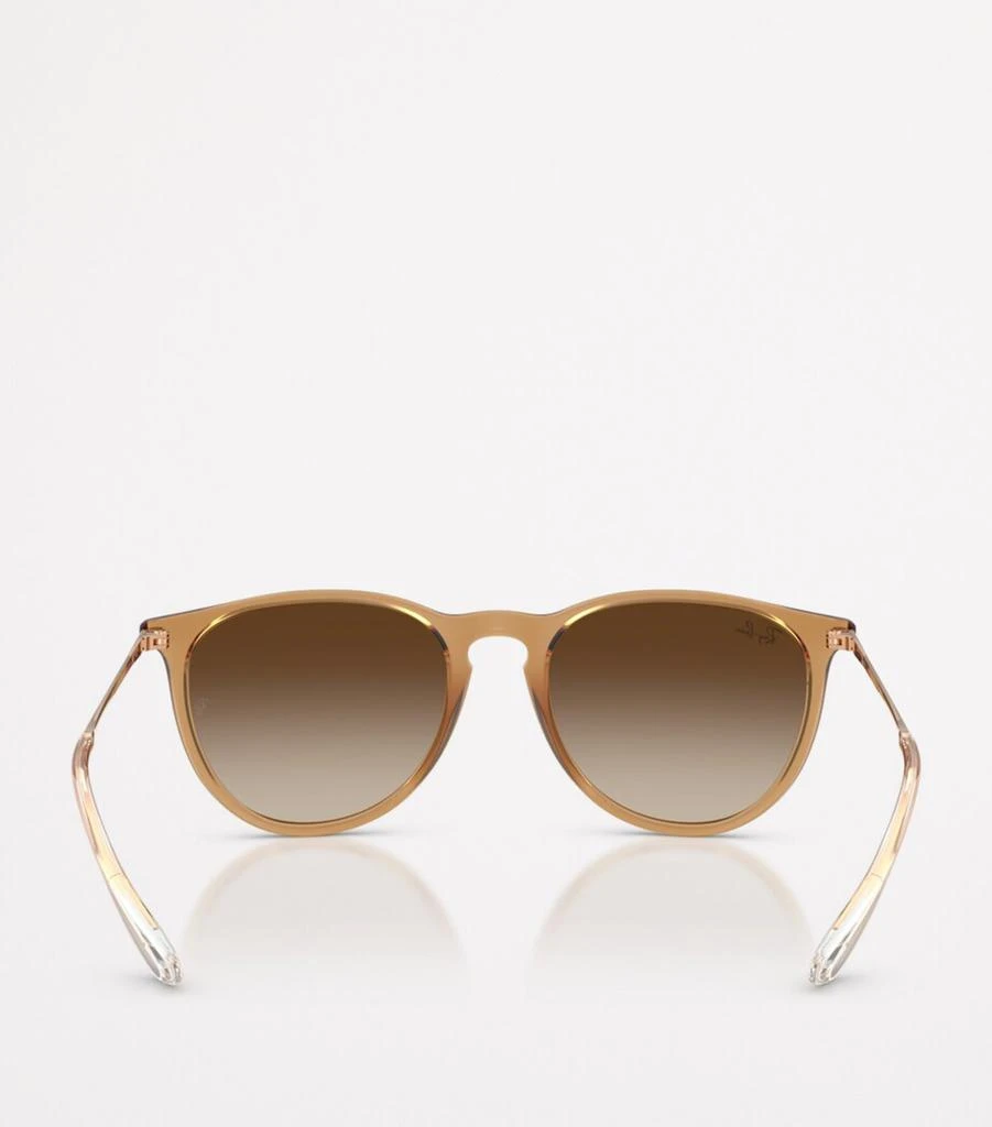 Ray-Ban RB4171 Erika Classic Sunglasses 4