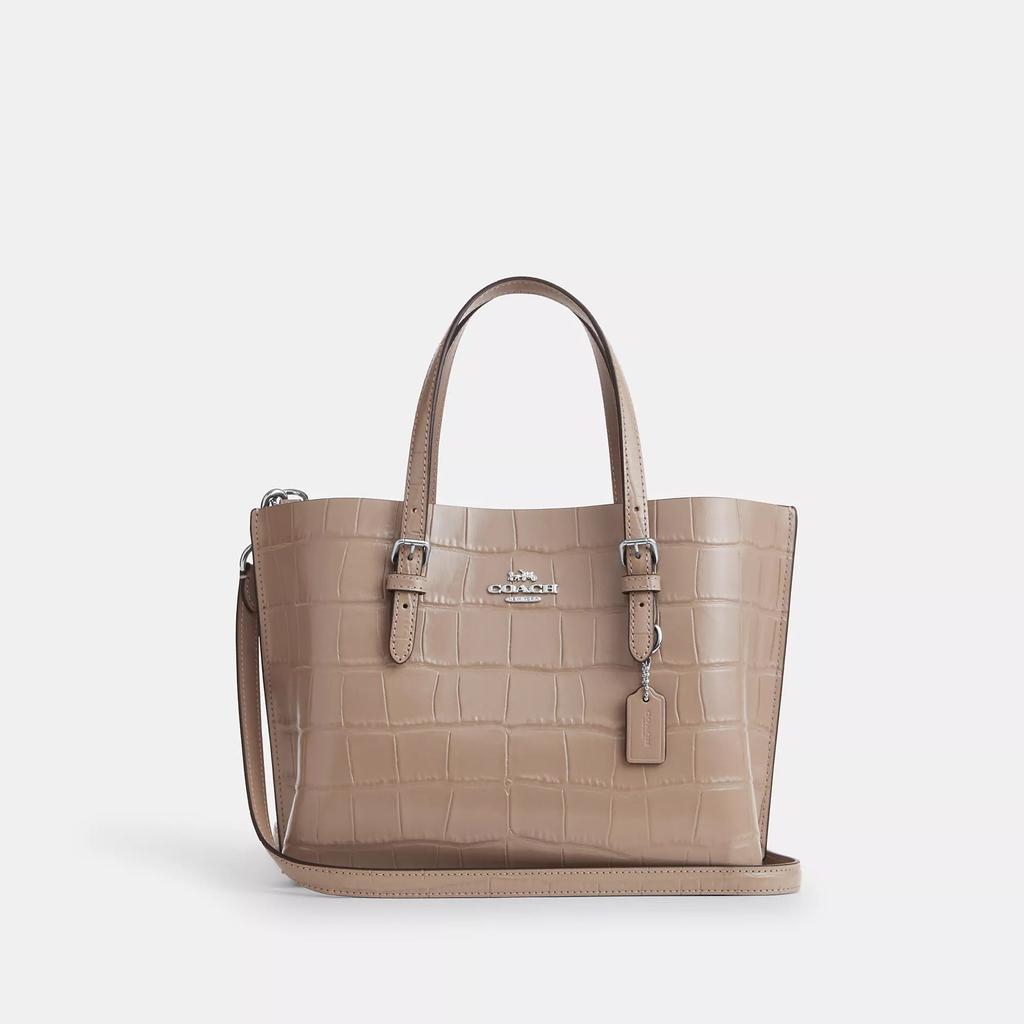 Coach Mollie Tote Bag 25