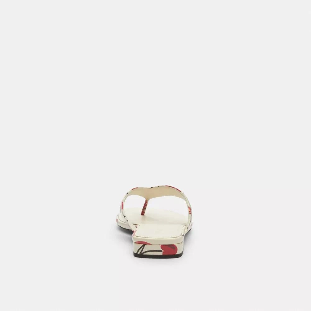 Coach Bridgette Sandal With Cherry Print 4