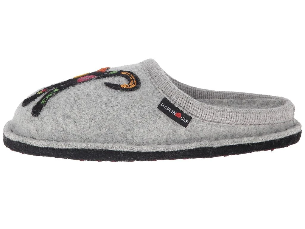 Haflinger Sassy 4