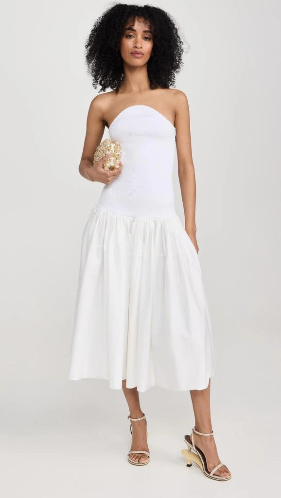 Alexis Kamali Dress 1