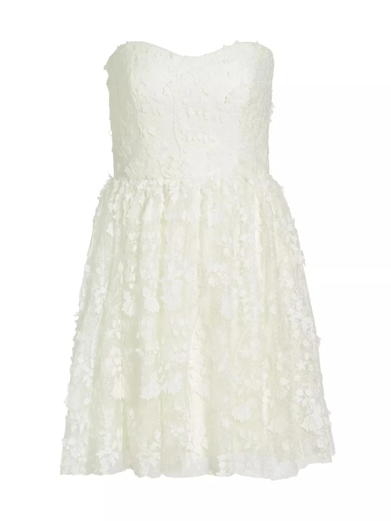 Monique Lhuillier Strapless Embroidered Tulle Minidress 1