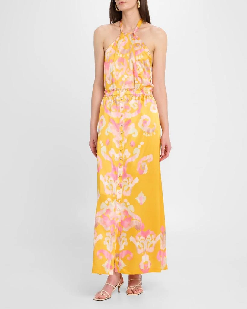 FIGUE Bastien Button-Front Silk Maxi Skirt 2