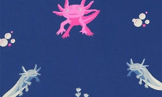 Kyte BABY Axolotl Romper 6