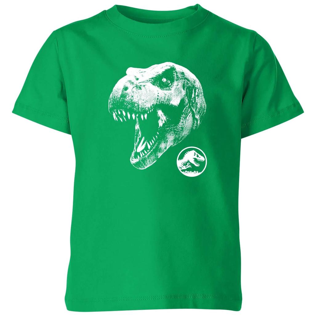 Jurassic Park Jurassic Park T Rex Kids' T-Shirt - Green