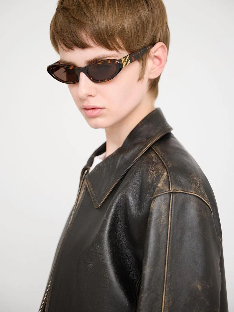 Miu Miu Cat-eye Acetate Sunglasses 1