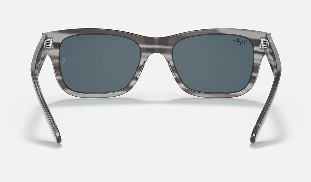 Ray-Ban BURBANK 4