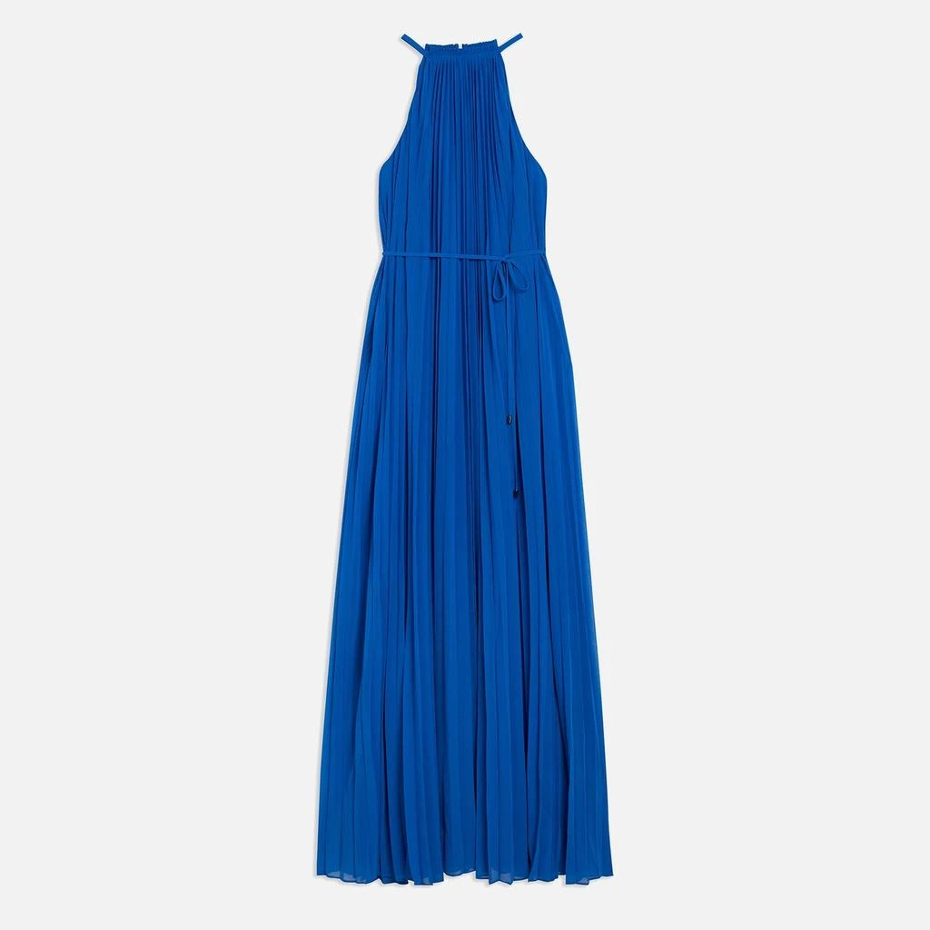 Ted Baker London Ted Baker Helyos Pleated Chiffon Midi Dress 3