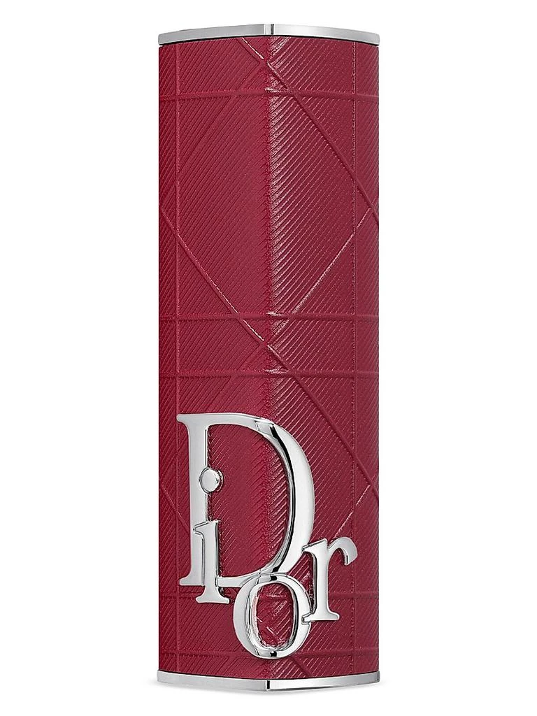 Dior Dior Addict Lipstick Case 1