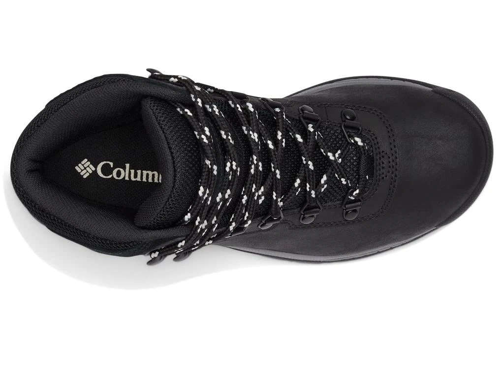 Columbia Newton Ridge Plus 2