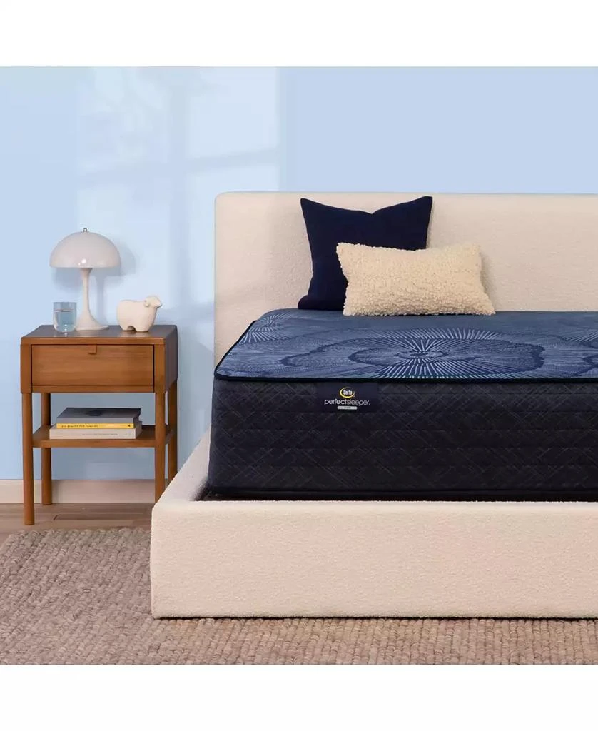 Serta Perfect Sleeper Euphoric Nights 14" Firm Hybrid Mattress 11