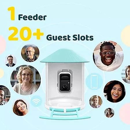 Birdfy Birdfy Smart Bird Feeder with Camera 6