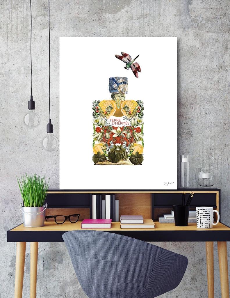 Curioos Terre D'hermès