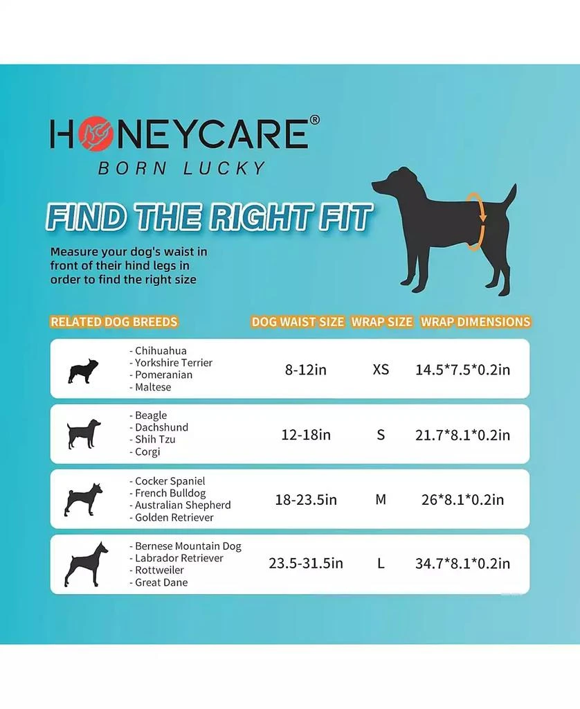 HoneyCare Printed All Absorb Petrichor Male Dog Wrap, Fresh Scent Dog Diaper, Disposable, Small, 100ct 7