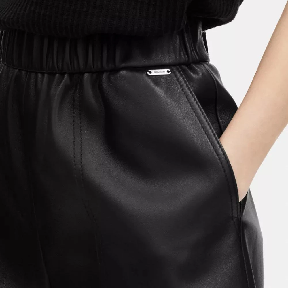 Coach Leather Shorts 4