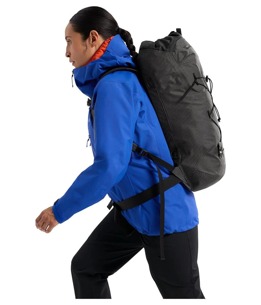 Arc'teryx Alpha FL 20 Backpack 4