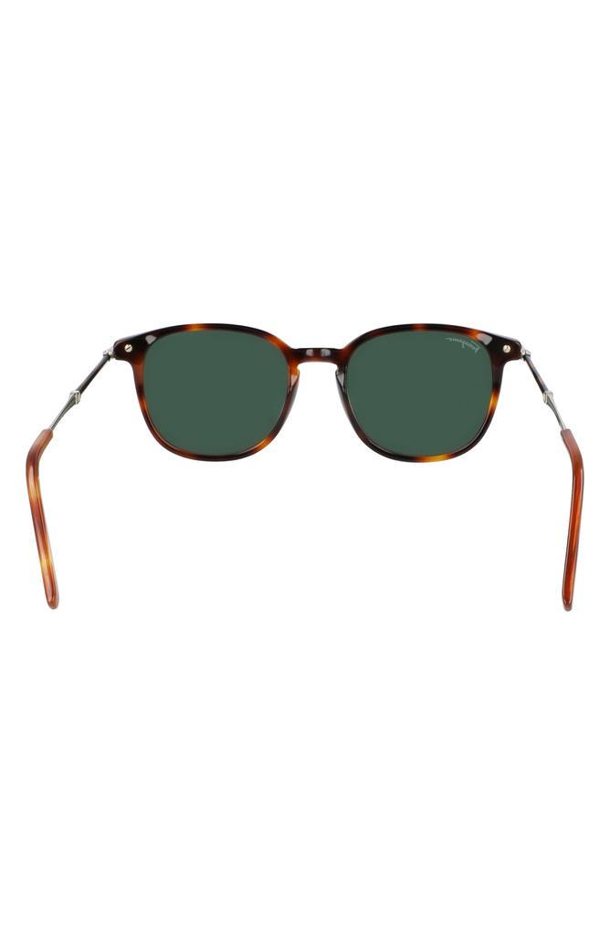 salvatore-ferragamo-sf1104s-